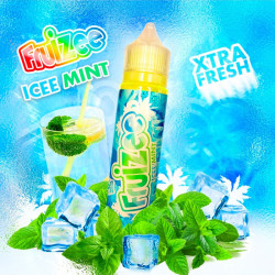 E-liquide Icee Mint 50ml Fruizee – Menthe ultra fraîche | MYSTIK VAPE