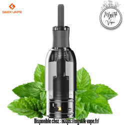 Cartouche Pré-remplie Wenax M1 Mint (x2) | MYSTIK - VAPE.fr