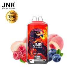 KIT PEACH BERRY 28000 PUFFS 2X10ML - FALCON-X BY JNR