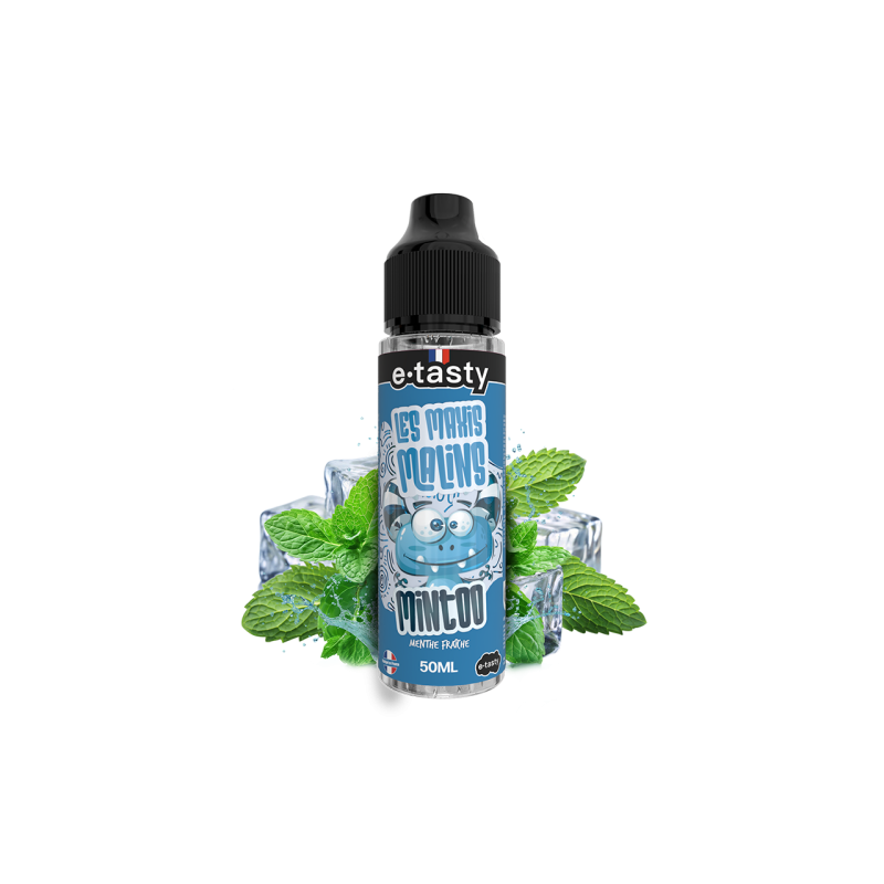 Mintoo 50ml Les Maxis Malins menthe fraîche |Mystik-Vape prix discount