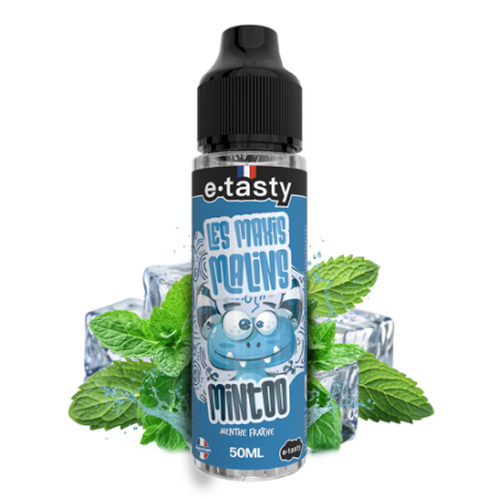 Mintoo 50ml Les Maxis Malins menthe fraîche |Mystik-Vape prix discount