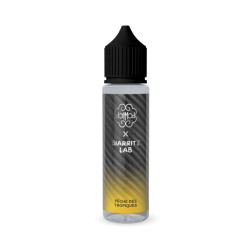 Pêche des Tropiques 50ml Dotmod|prix discount – Mystik-Vape